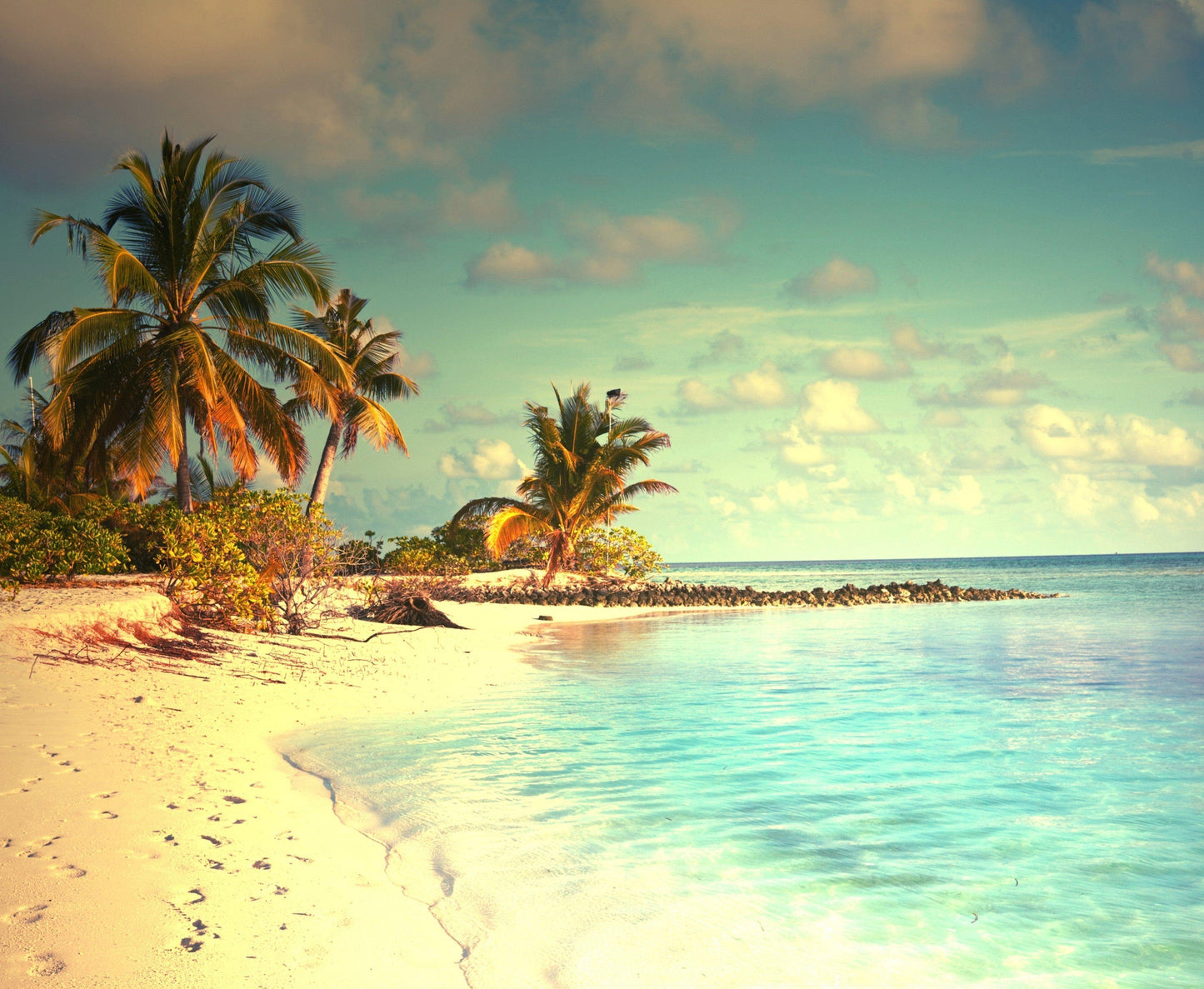 Tropical Vacation